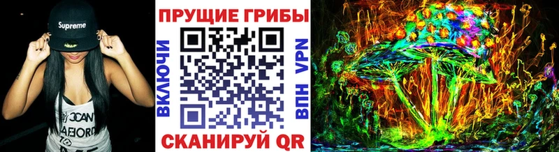 darknet состав Нюрба Псилоцибиновые грибы Magic Shrooms