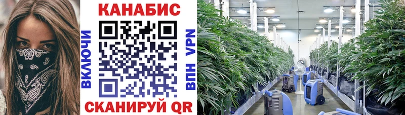 площадка состав  Нюрба  Канабис Ganja  где продают  